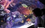 Antalya Aquarium Entrance Ticket and Transfer — 2/11