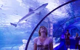 Antalya Aquarium Entrance Ticket and Transfer — 6/11