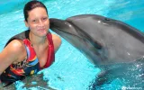 Swim with Dolphins in Kemer – Best Experience Deal — 2/13