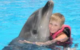 Swim with Dolphins in Kemer – Best Experience Deal — 3/13