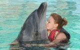 Swim with Dolphins in Kemer – Best Experience Deal — 4/13