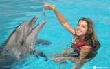 Swim with Dolphins in Kemer – Best Experience Deal — 5/13