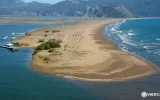 Dalyan Tour: Schildkrötenstrand & Schlammbäder erleben — 2/11