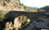 Adler Canyon und Selge – Natur und antike Stadt entdecken — 5/9