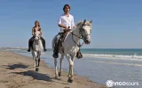 Reittour in Belek durch Pinienwald, Dünen und bis zum Strand — 3/9