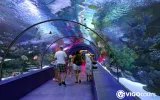 Antalya Aquarium Entrance Ticket and Transfer — 7/11