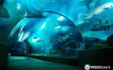 Antalya Aquarium Entrance Ticket and Transfer — 8/11