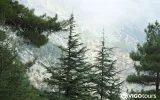 Tahtali to Beycik Hiking Tour | Best Trails in Antalya — 17/29