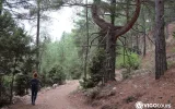 Tahtali to Beycik Hiking Tour | Best Trails in Antalya — 18/29