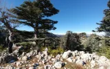 Tahtali to Beycik Hiking Tour | Best Trails in Antalya — 22/29