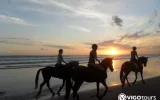 Horseback Riding in Fethiye & Oludeniz Nature Tours — 9/10