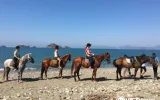Horseback Riding in Fethiye & Oludeniz Nature Tours — 10/10