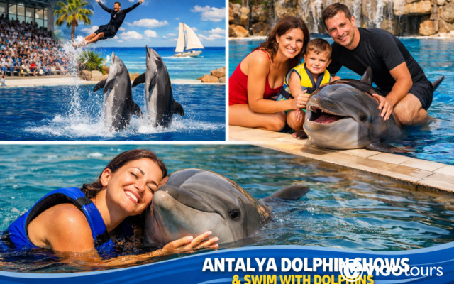 Впечатляющее шоу дельфинов и плавание с ними в Анталии