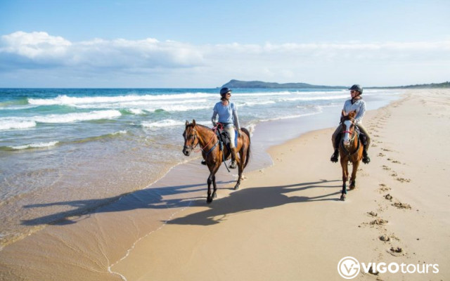 Jazda konna na plaży Patara: Niezapomniana przygoda!