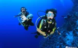 Alanya'da Tüplü Dalış: En İyi Turlar ve Dalış Noktaları — 4/11