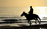 Horse Riding Adventure at Patara Beach — 6/9