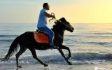 Horse Riding Adventure at Patara Beach — 8/9