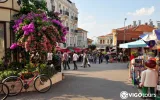 Büyükada ve Heybeliada Turu – Yemekli Günübirlik Gezi — 9/13