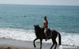Reittour in Belek durch Pinienwald, Dünen und bis zum Strand — 4/9