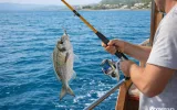 Fishing Boat Trip in Side Turkey | Mediterranean Adventure — 6/6