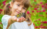 Entdecken Sie die Antalya Schmetterlingswelt Tour — 3/12