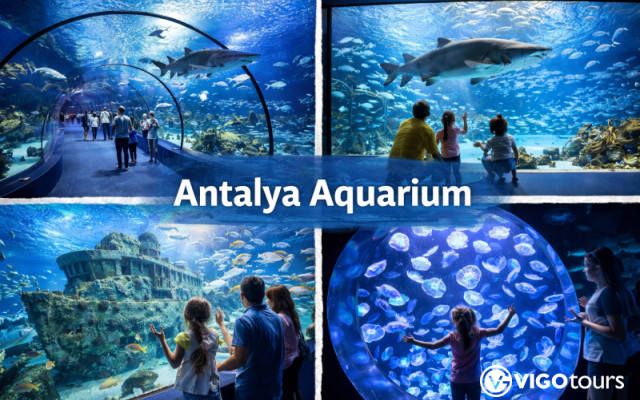 Antalya Aquarium Tour ab Alanya mit Transfer & Eintritt