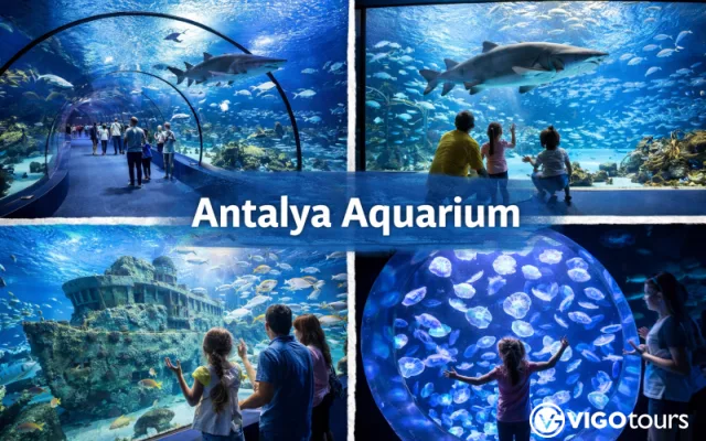 Antalya Aquarium Entrance Ticket and Transfer — 1/11