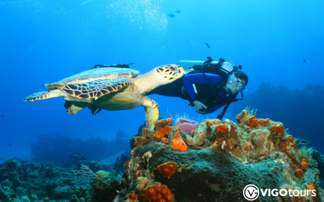 Discover Fethiye's Best Diving Spots with Expert Guides