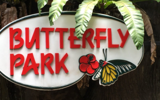 Волшебное путешествие в Мир Бабочек Анталии