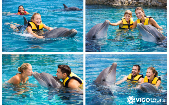Schwimmen mit Delfinen in Bodrum — Persönliches Erlebnis