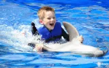 Experience Dolphin Swimming and Shows in Side Turkey — 3/13