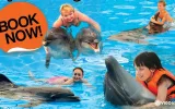 Experience Dolphin Swimming and Shows in Side Turkey — 4/13