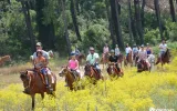 Horseback Riding in Fethiye & Oludeniz Nature Tours — 2/10