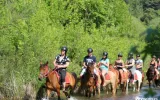 Horseback Riding in Fethiye & Oludeniz Nature Tours — 4/10