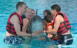 Experience Dolphin Swimming and Shows in Side Turkey — 7/13