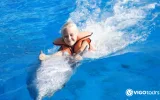 Experience Dolphin Swimming and Shows in Side Turkey — 10/13
