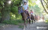 Didim Horse Riding Tour - Experience Nature in the Saddle — 6/11
