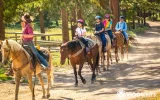 Didim Horse Riding Tour - Experience Nature in the Saddle — 11/11