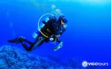 Scuba Diving in Didim - Explore the Underwater World — 5/11