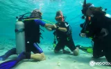Scuba Diving in Didim - Explore the Underwater World — 6/11