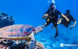 Scuba Diving in Didim - Explore the Underwater World — 8/11