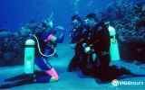 Scuba Diving in Didim - Explore the Underwater World — 7/11