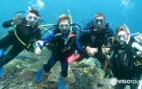 Scuba Diving in Didim - Explore the Underwater World — 10/11