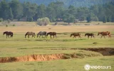 Toros Dağları yaylalarında At Safari Turu — 5/9