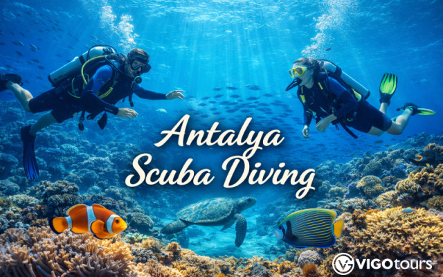 Schnorcheln und Tauchen in Belek: Touren, Preise und Tipps