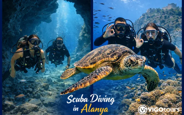 Alanya'da Tüplü Dalış: En İyi Turlar ve Dalış Noktaları — 1/11