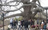 Поездка на Улудаг и Бурсу: однодневный тур из Стамбула — 3/12