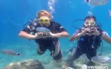 Alanya'da Tüplü Dalış: En İyi Turlar ve Dalış Noktaları — 5/11