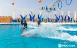 Alanya'da Yunuslarla Yüzme ve Eğlence Dolu Gösteri Programı — 9/13