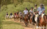 Didim Horse Riding Tour - Experience Nature in the Saddle — 3/11